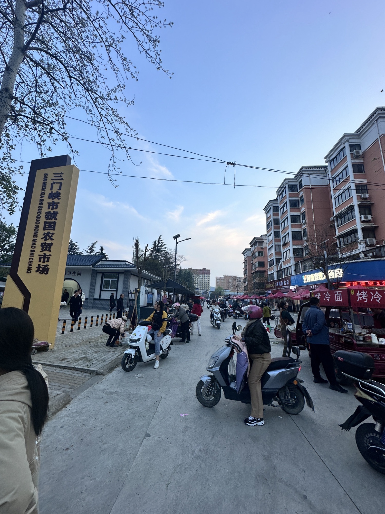 虢国公园旅行图片 3