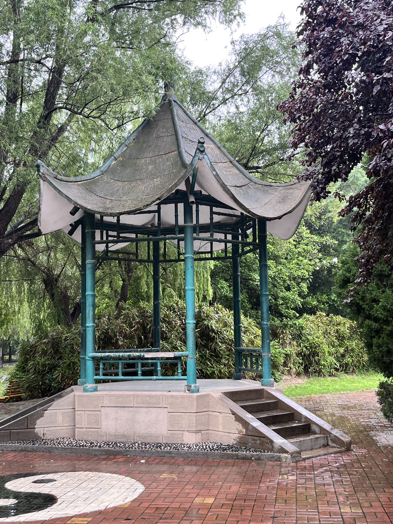 虢国公园旅行图片 3