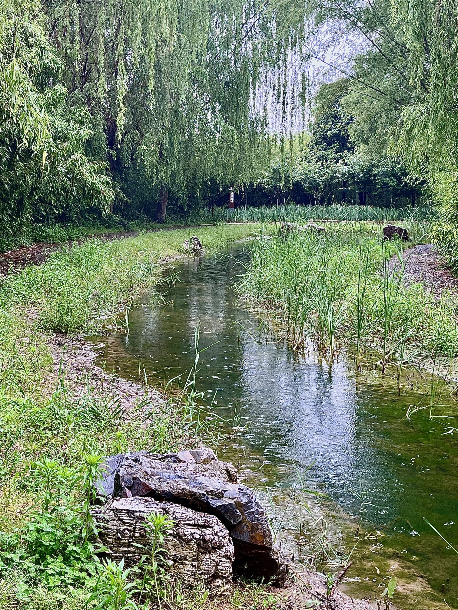 虢国公园
