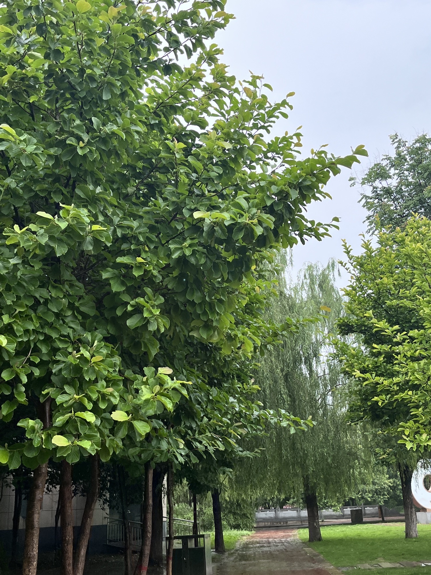 虢国公园旅行图片 2