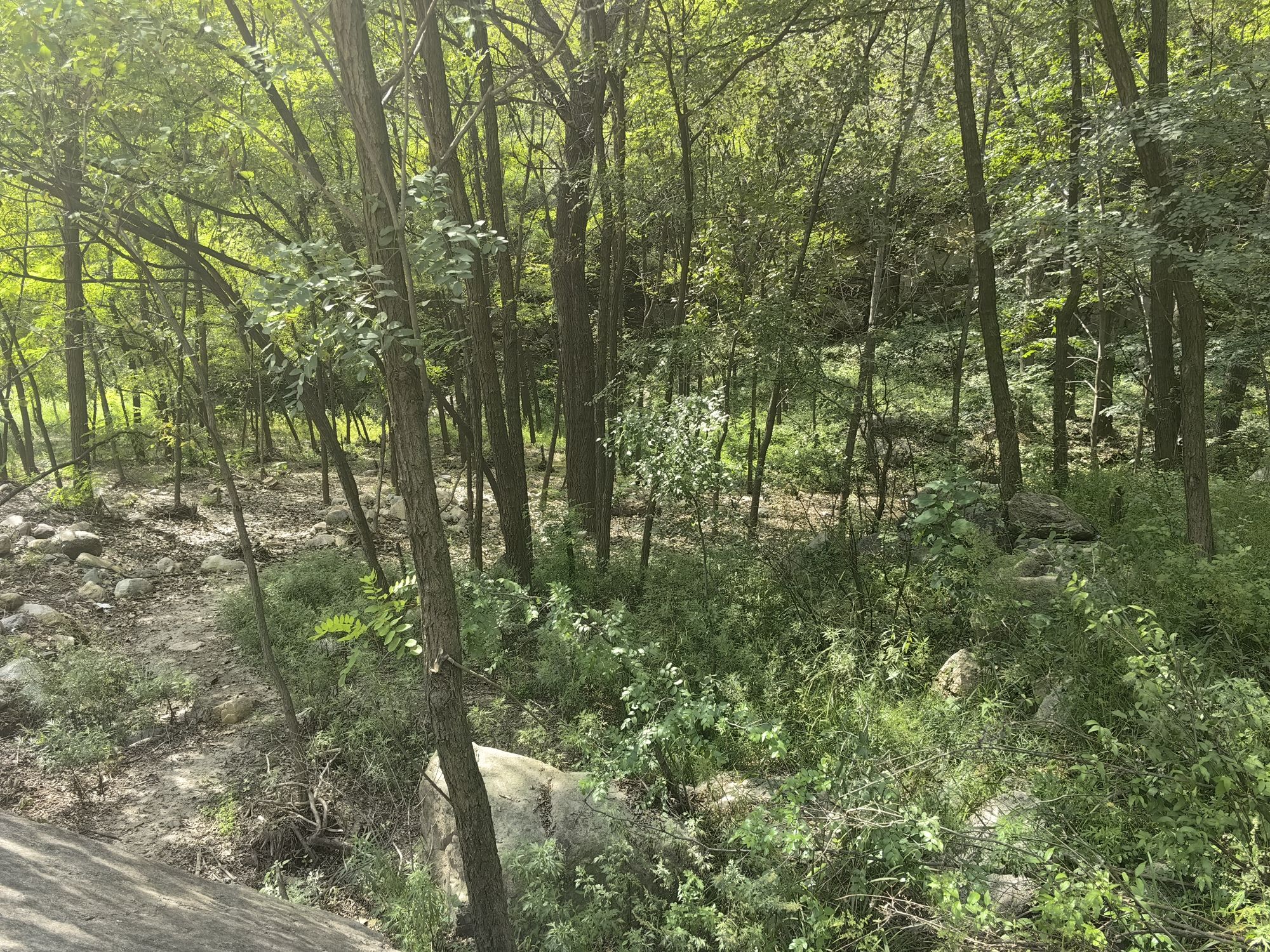 白龙涧景区旅行图片 3