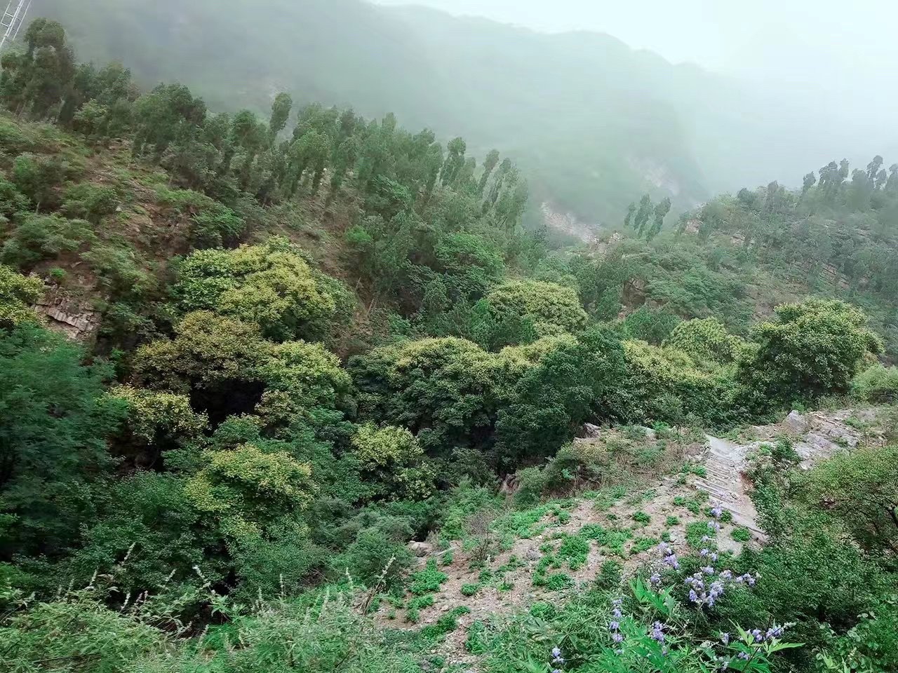 白龙涧景区旅行图片 2