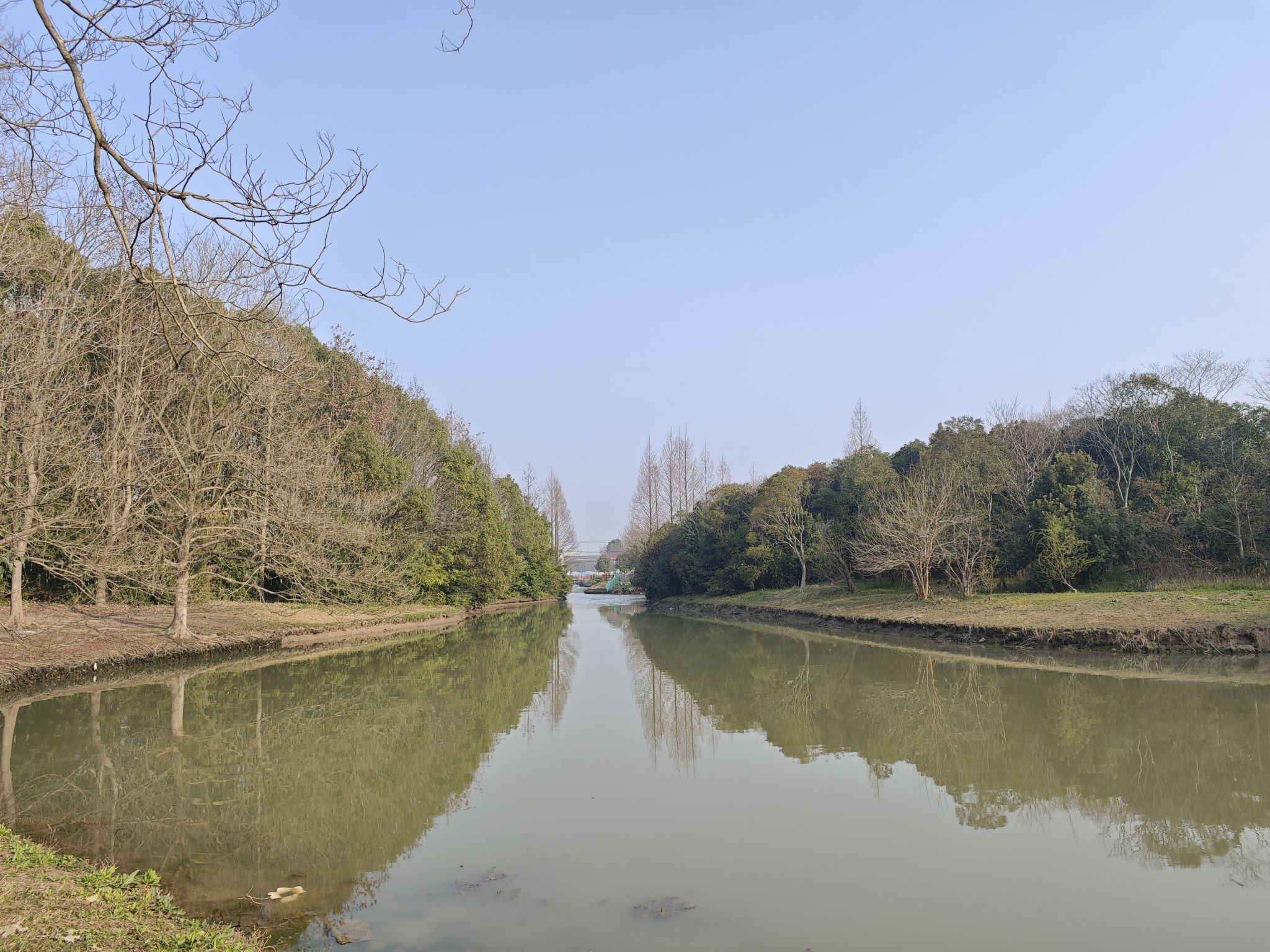 浦江森林公园旅行图片 1