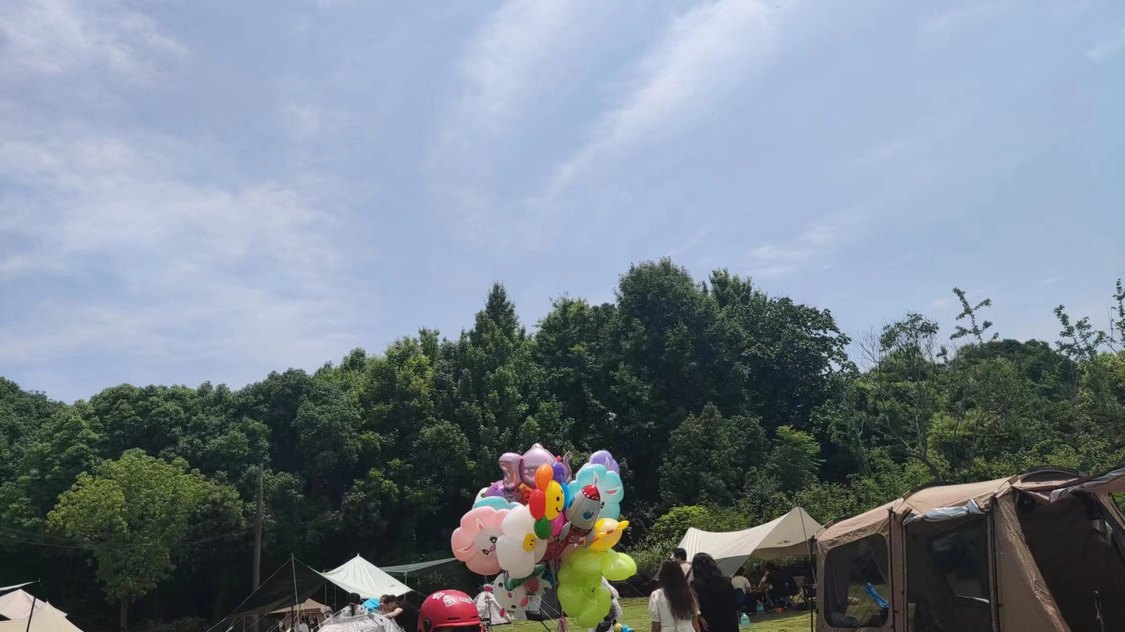 浦江森林公园旅行图片 2