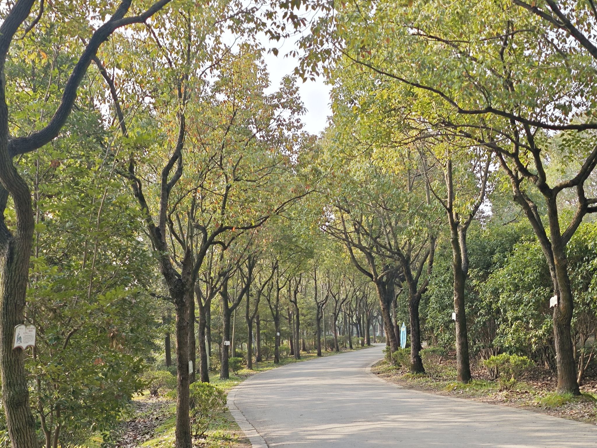 浦江森林公园旅行图片 3