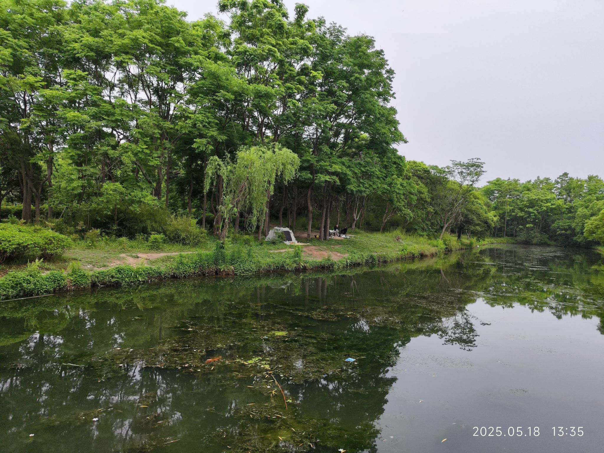 浦江森林公园旅行图片 3
