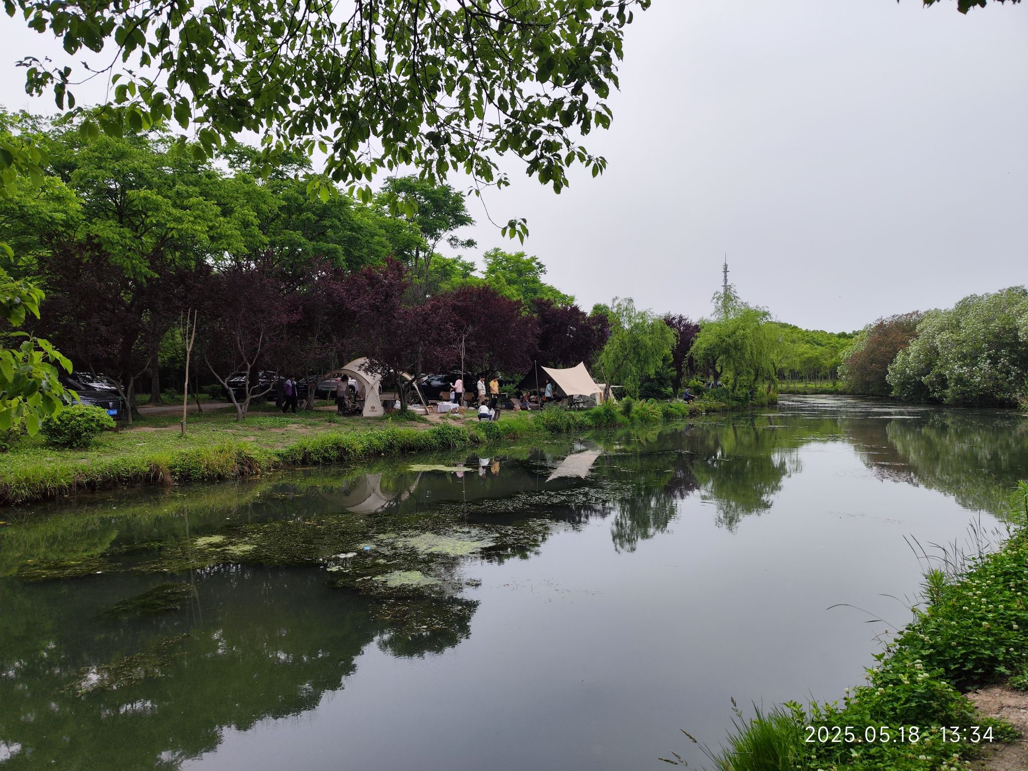 浦江森林公园旅行图片 1
