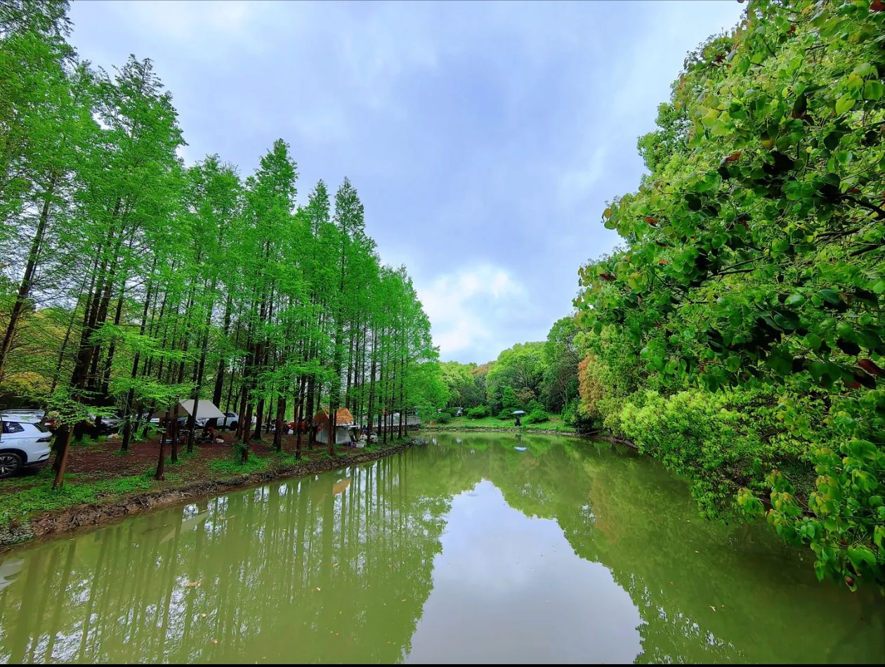 浦江森林公园旅行图片 1