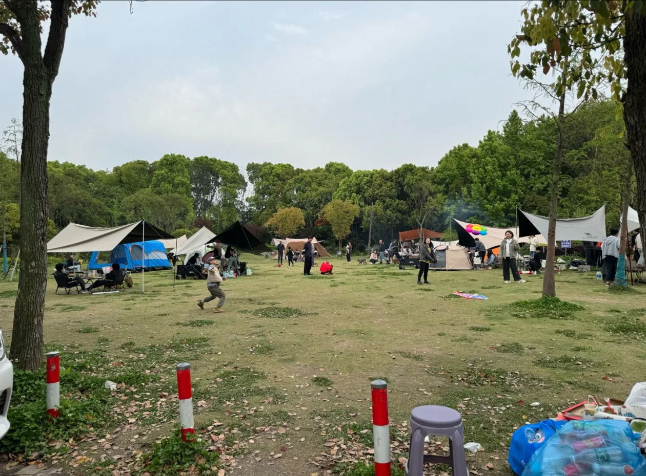 浦江森林公园旅行图片 2