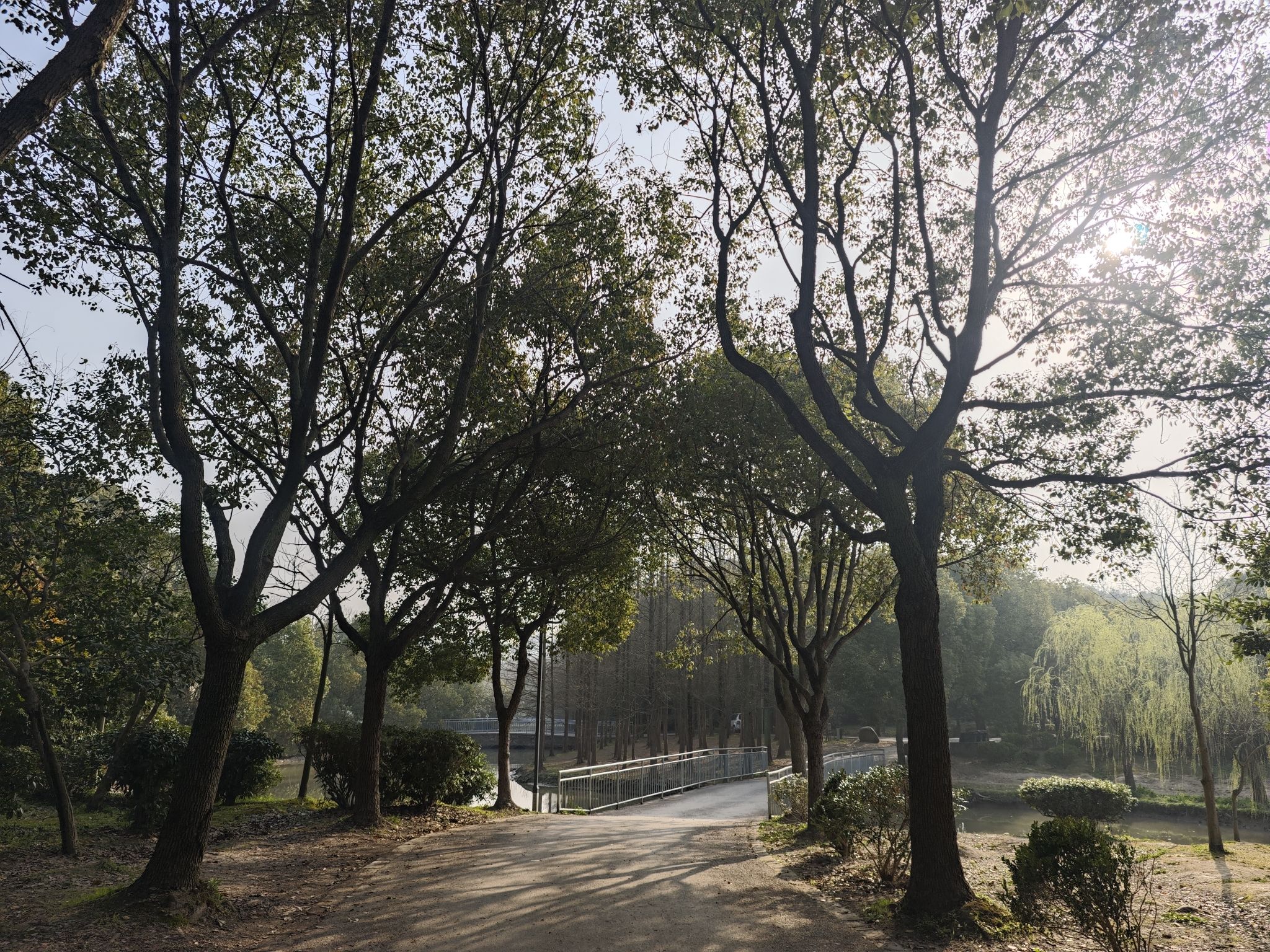 浦江森林公园旅行图片 2