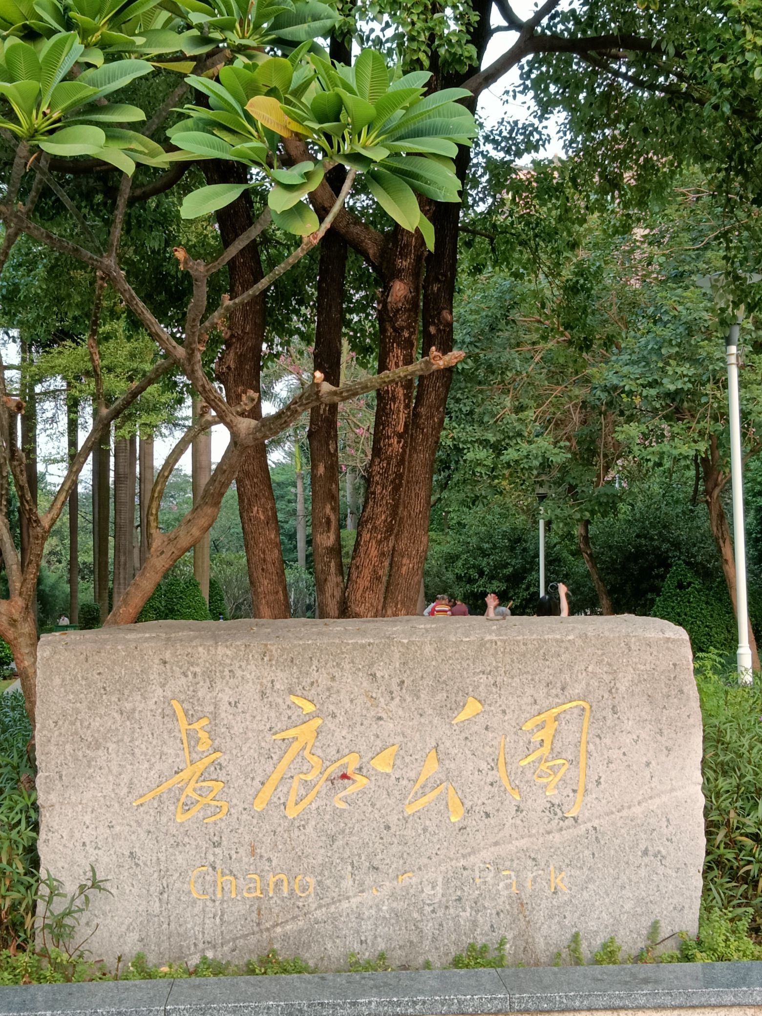 长廊公园旅行图片 3