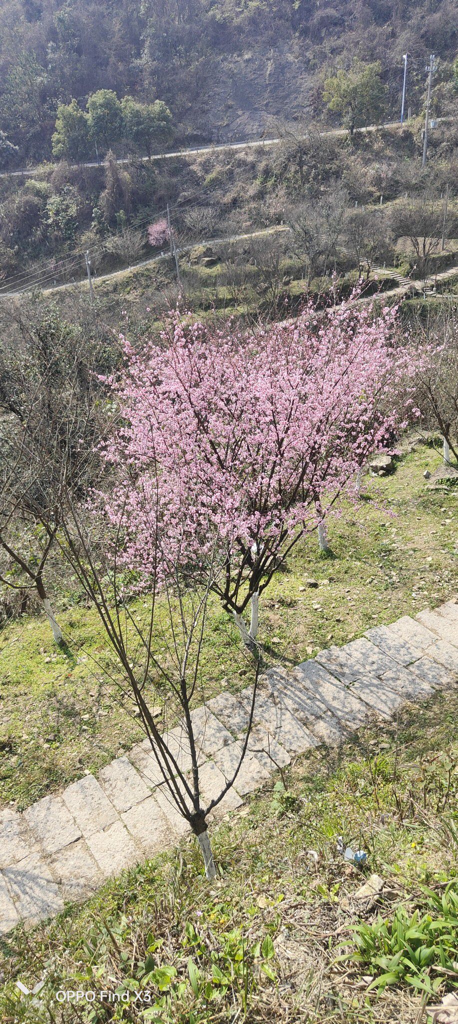 梅山公园