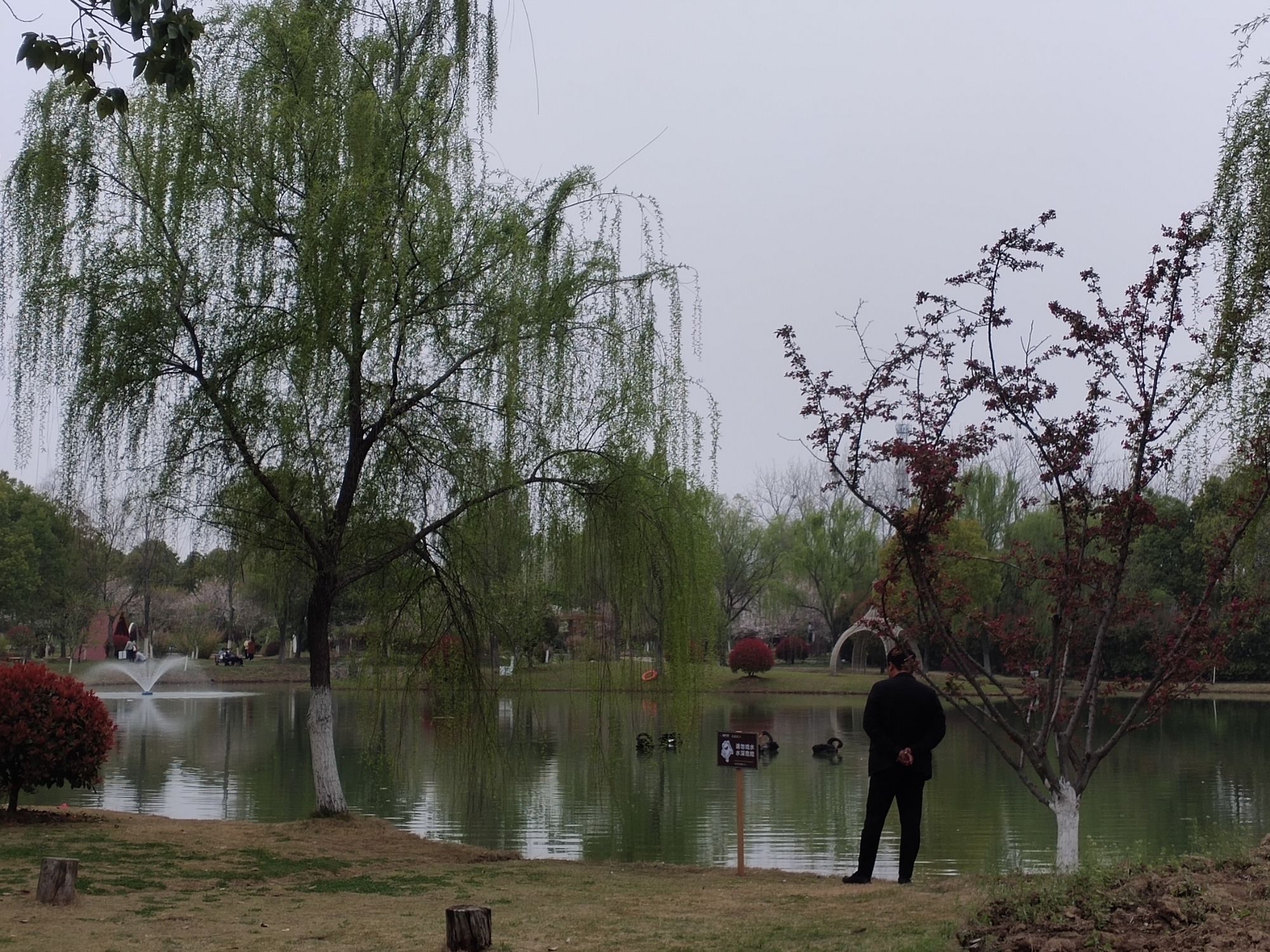 海棠花海旅行图片 3