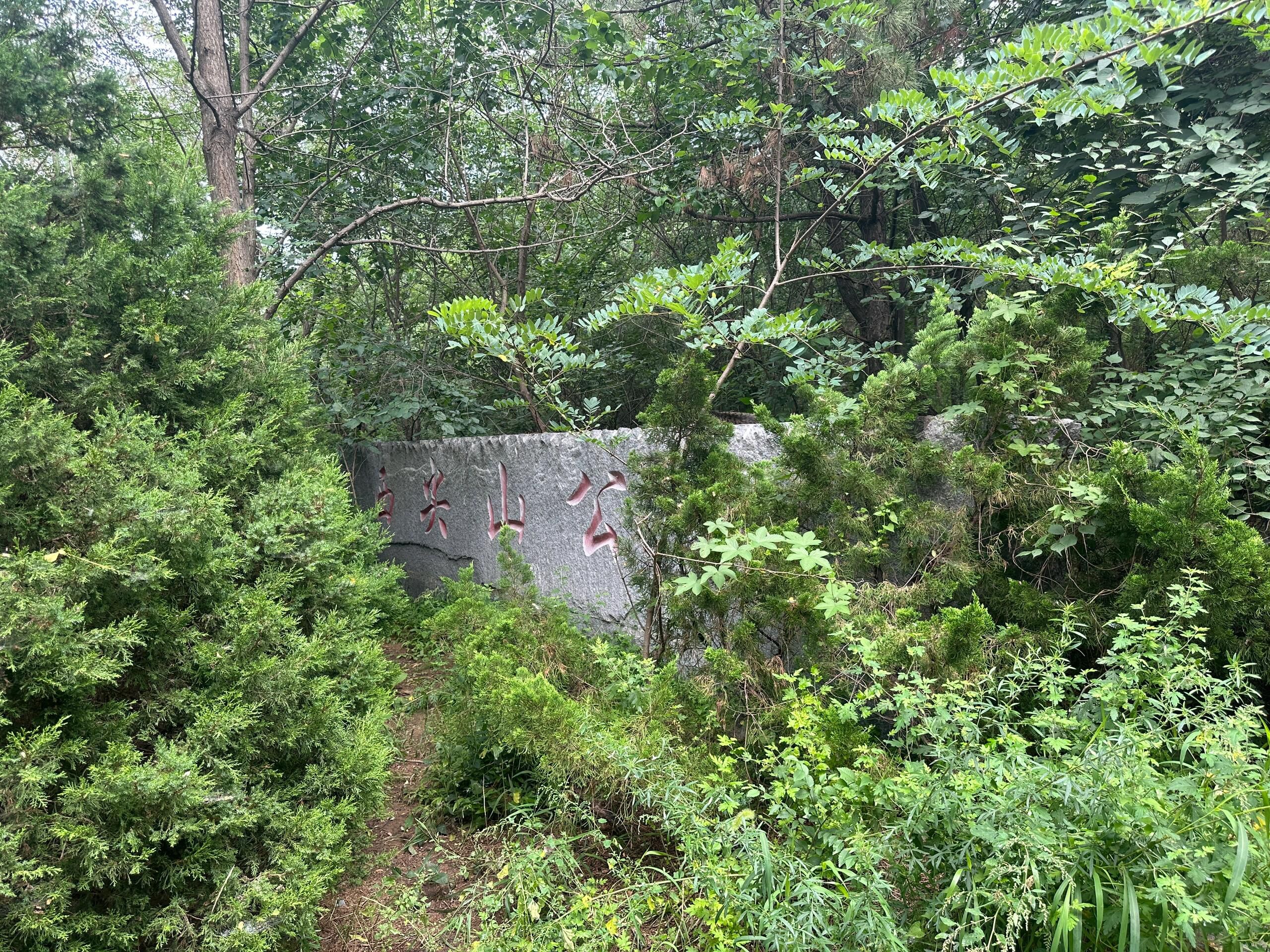 西尖山公园旅行图片 1