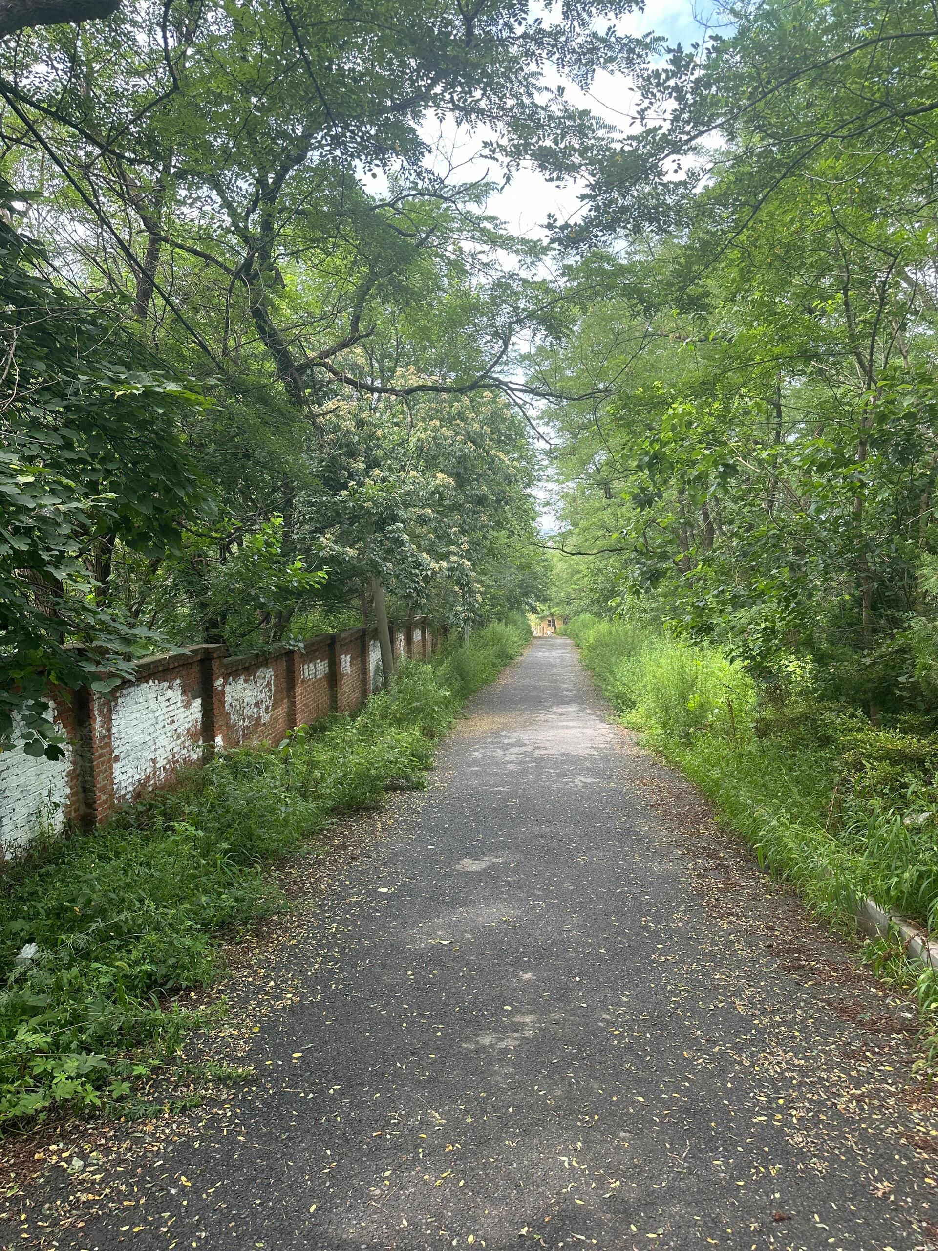 西尖山公园旅行图片 3