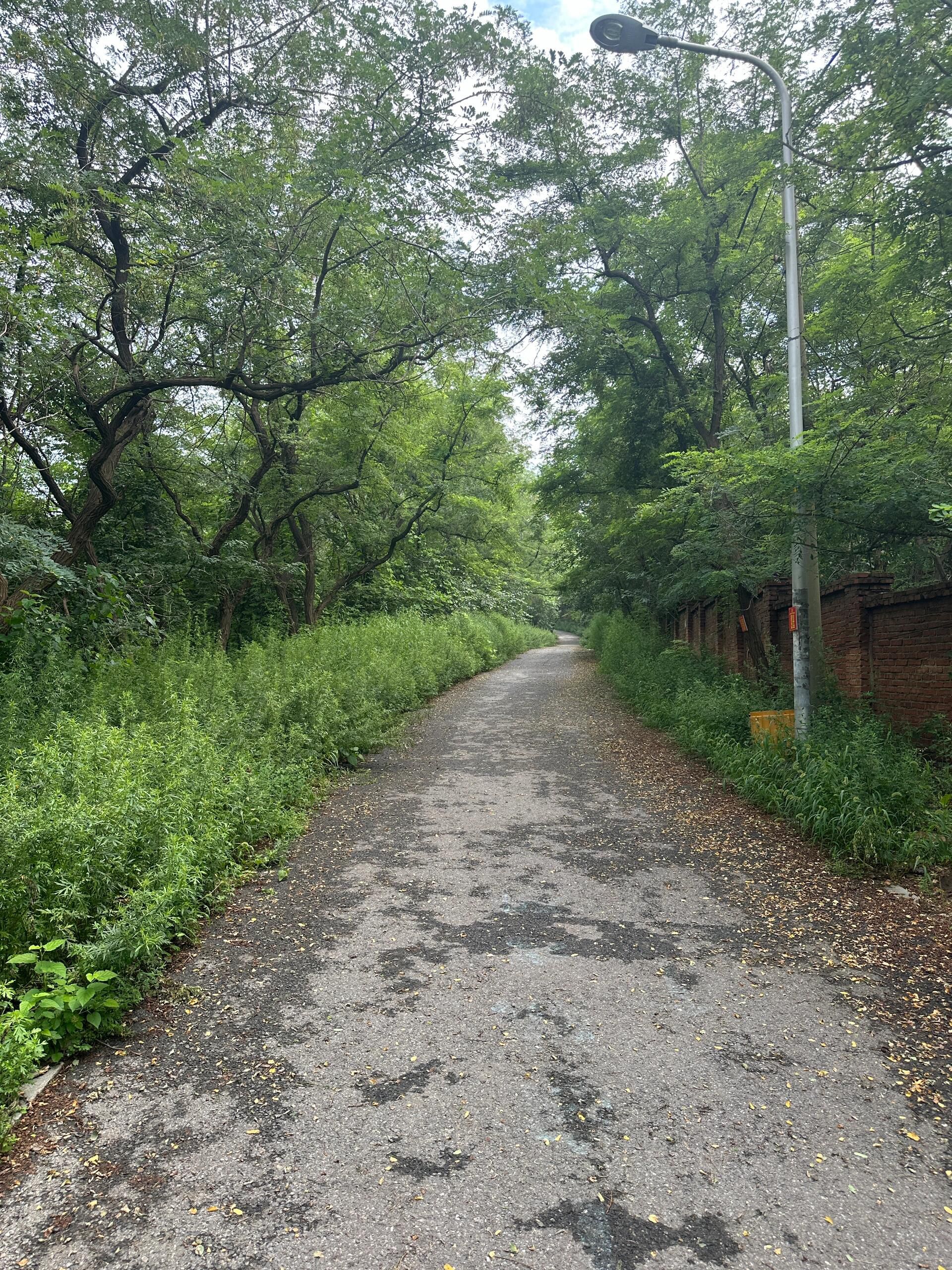 西尖山公园旅行图片 2