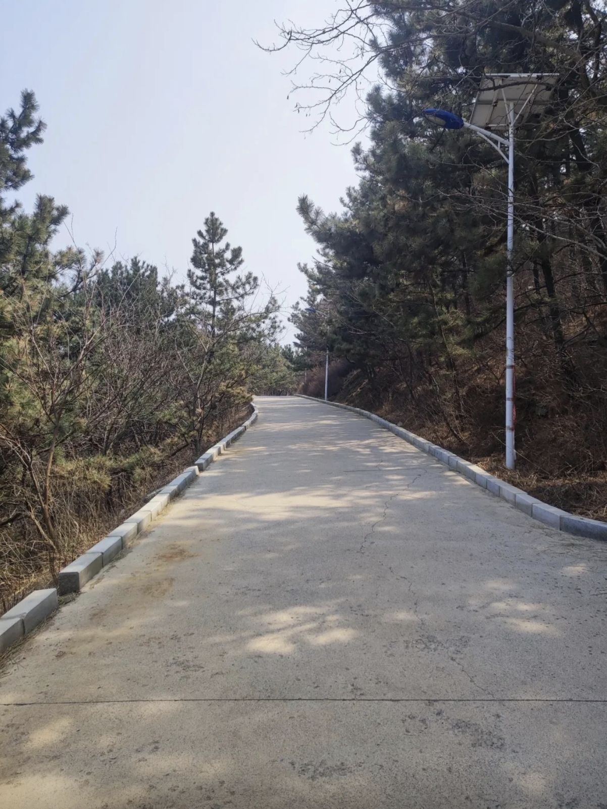 西尖山公园旅行图片 2