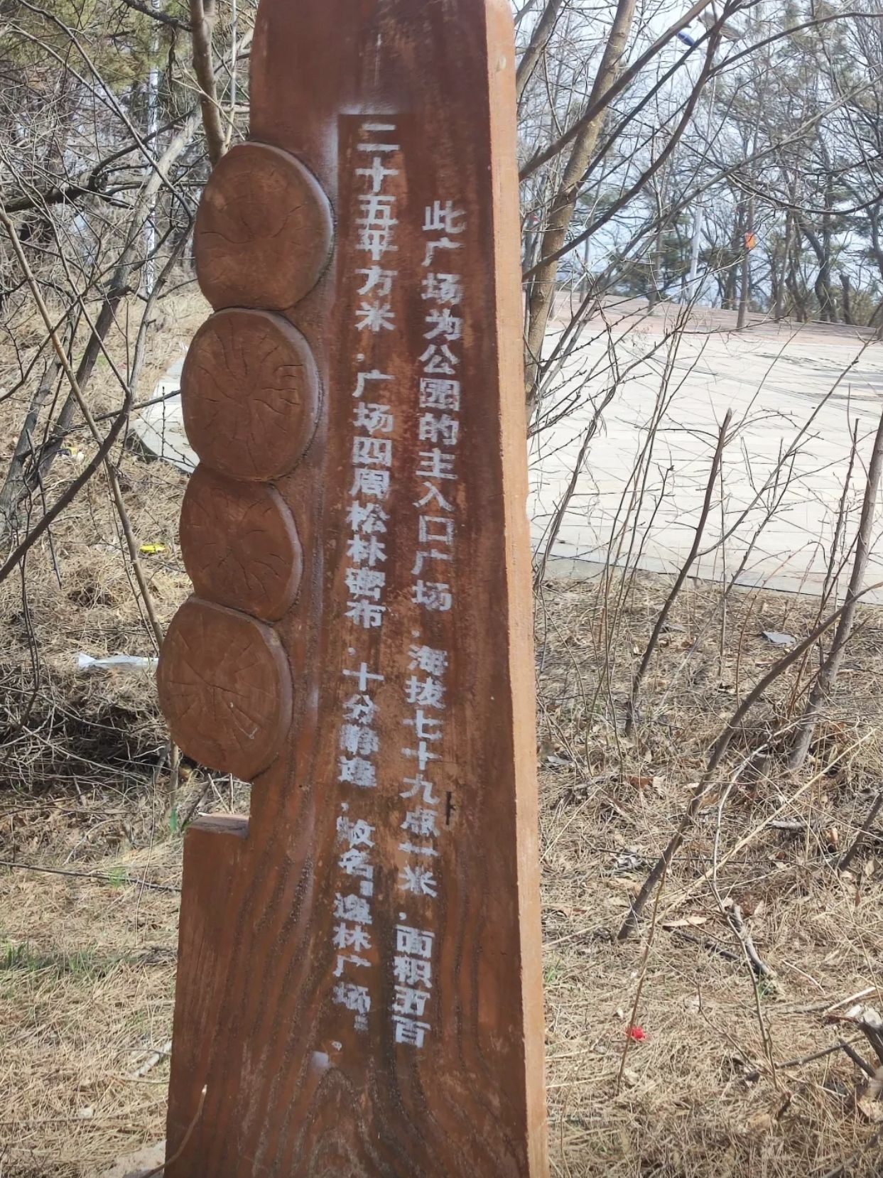 西尖山公园旅行图片 1