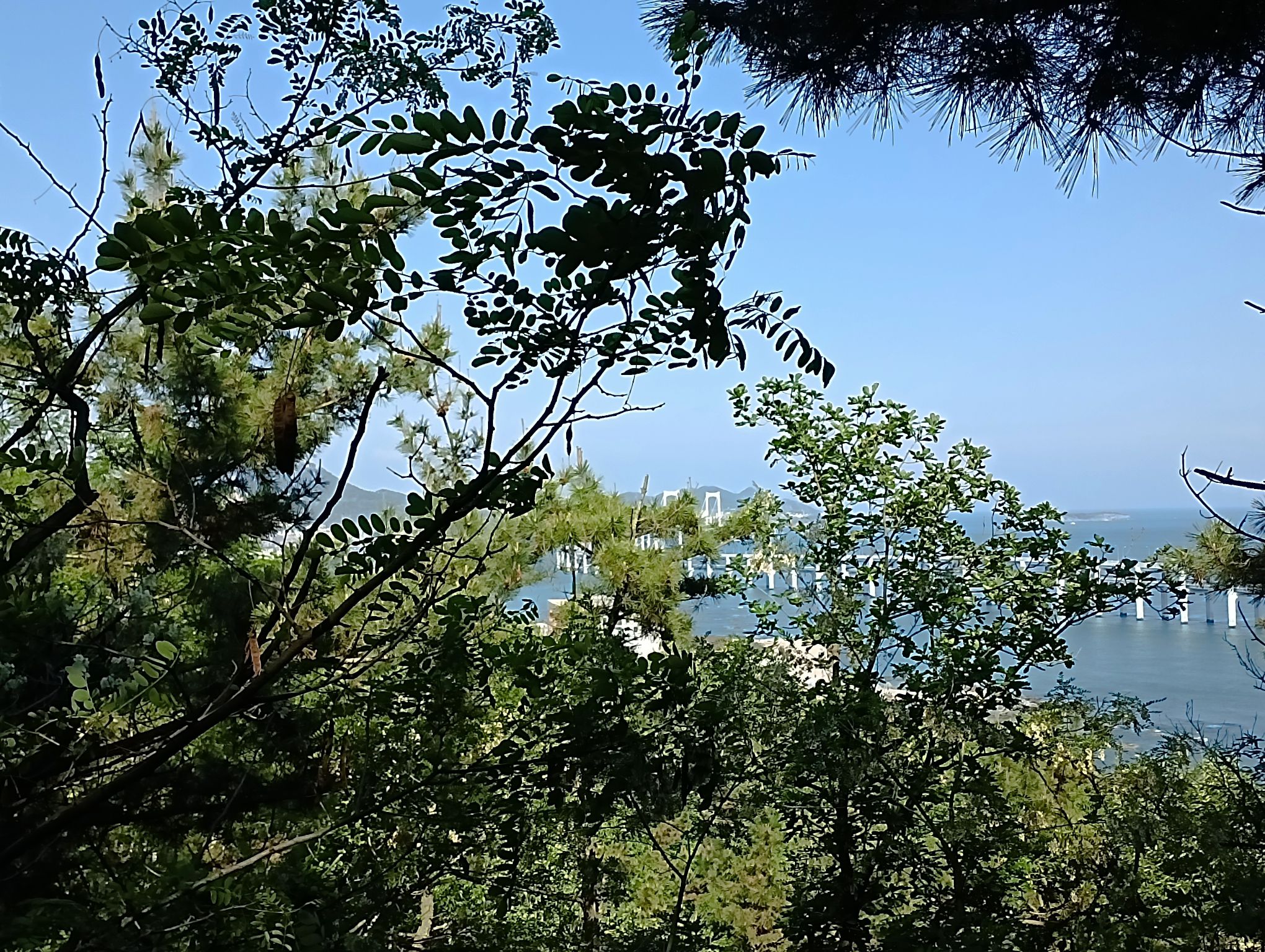 西尖山公园旅行图片 3