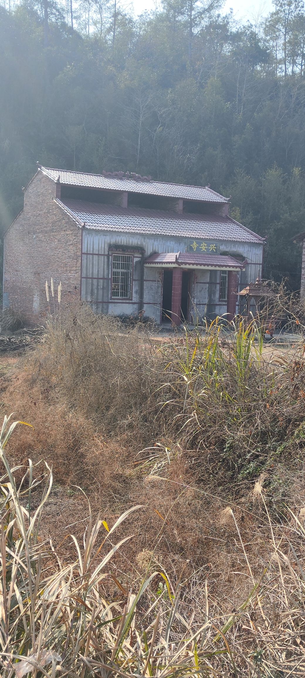 兴安寺实景照片
