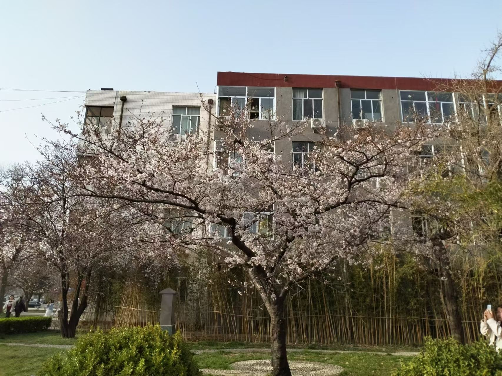 潍坊工程职业学院(老校区)