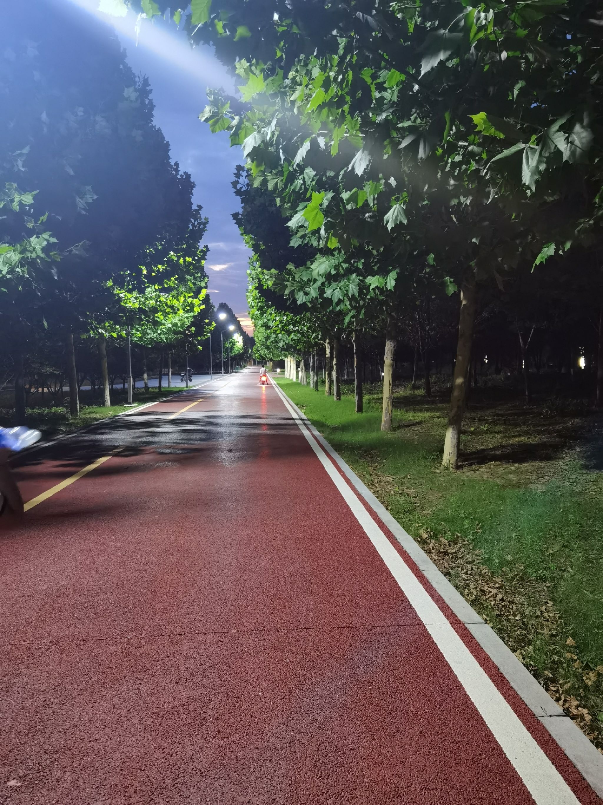 新蔡如意西湖公园旅行图片 1