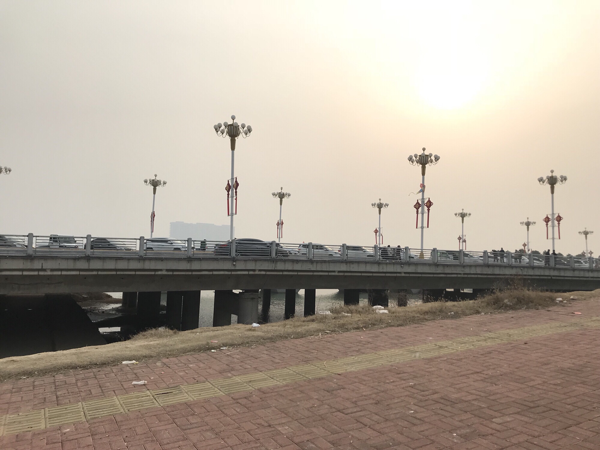 新蔡如意西湖公园旅行图片 2
