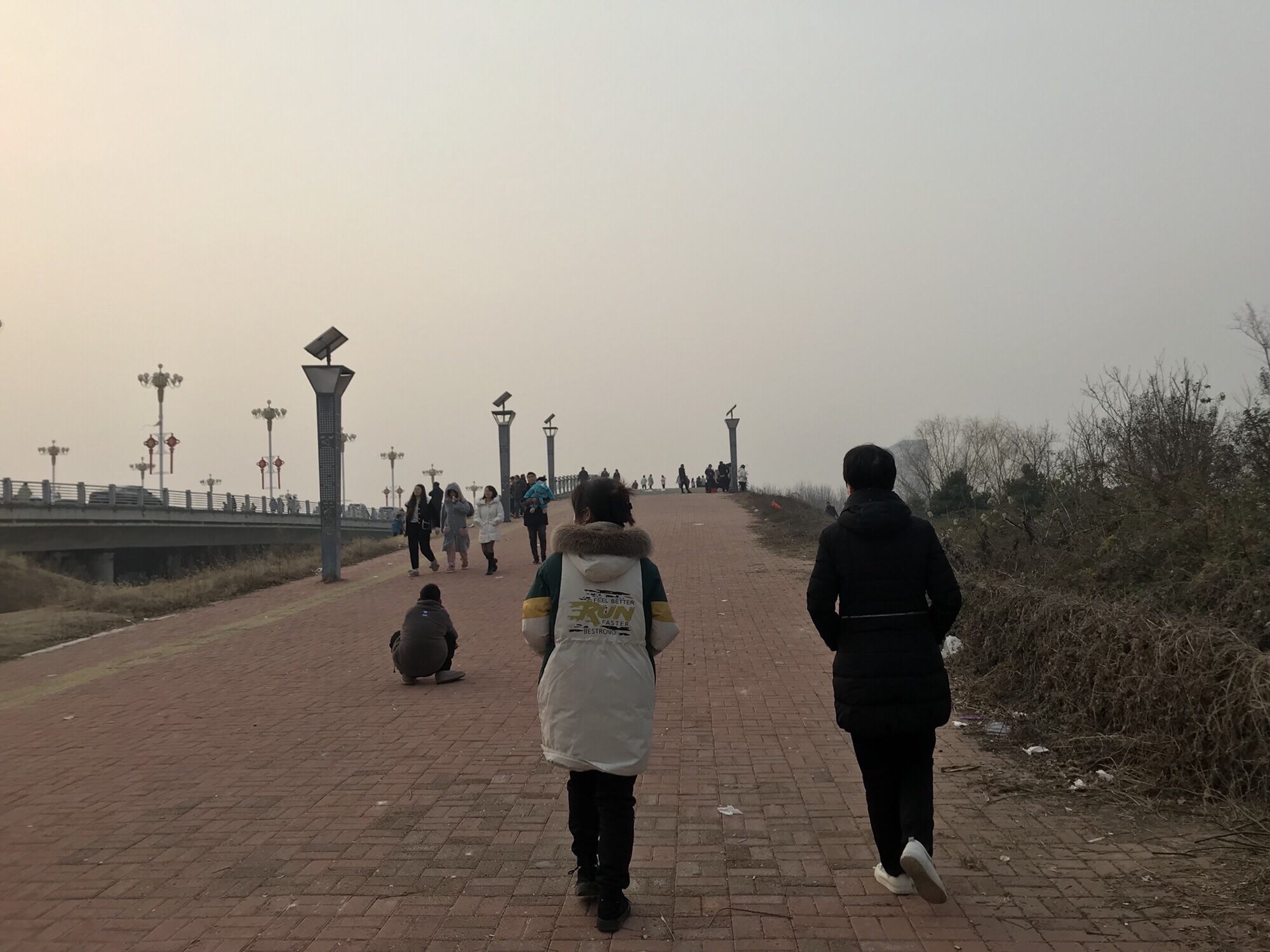 新蔡如意西湖公园旅行图片 3