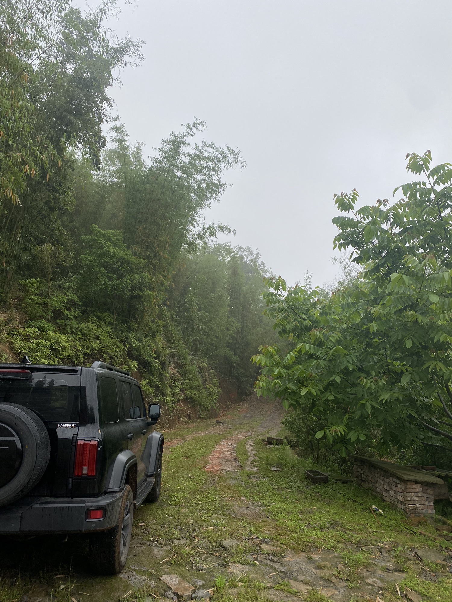 江门古寨旅行图片 1