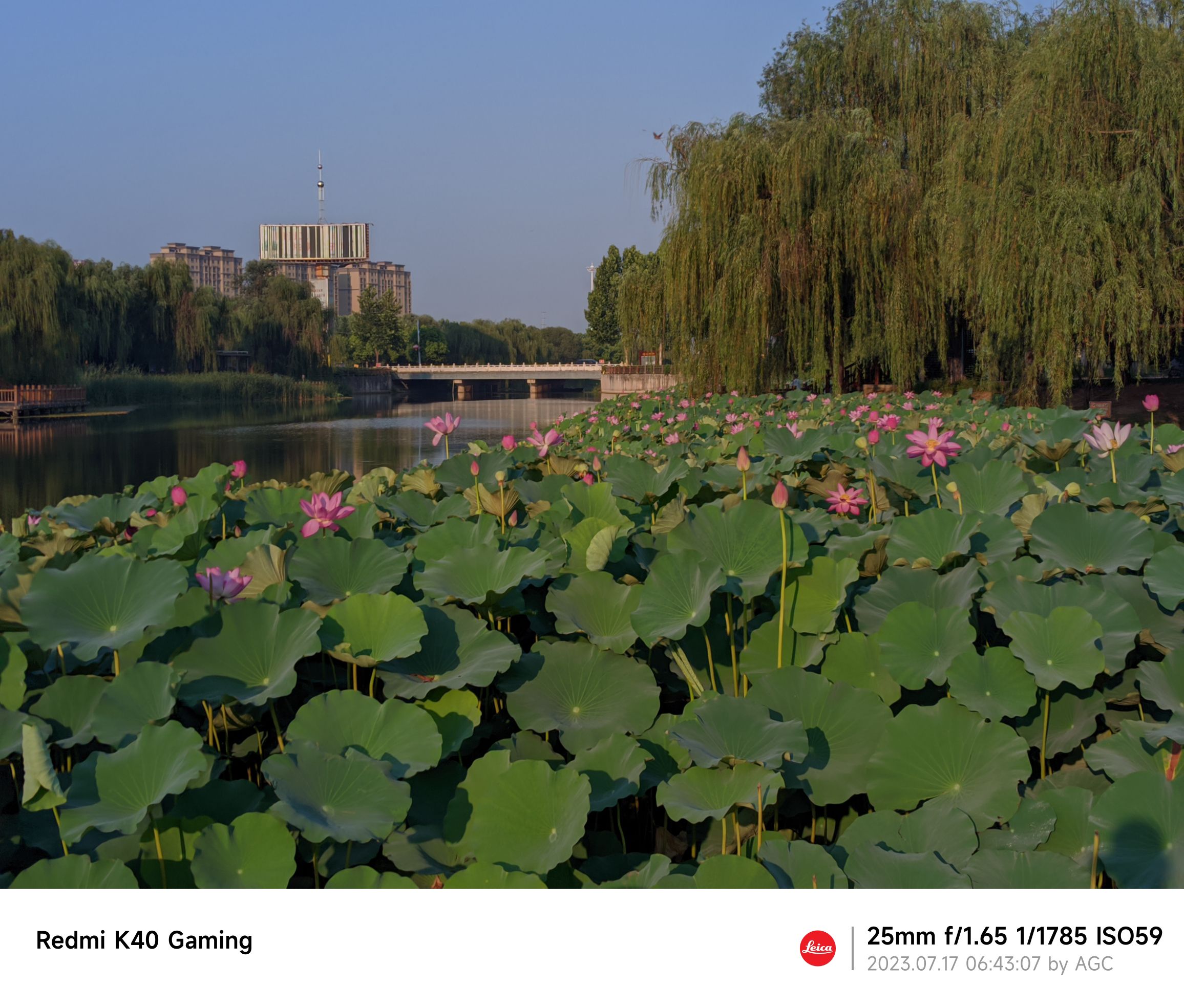 驸马沟生态公园旅行图片 3