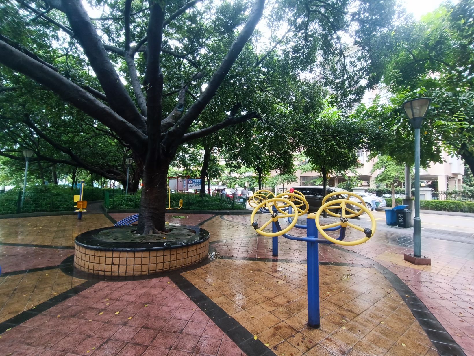 朗心公园旅行图片 2