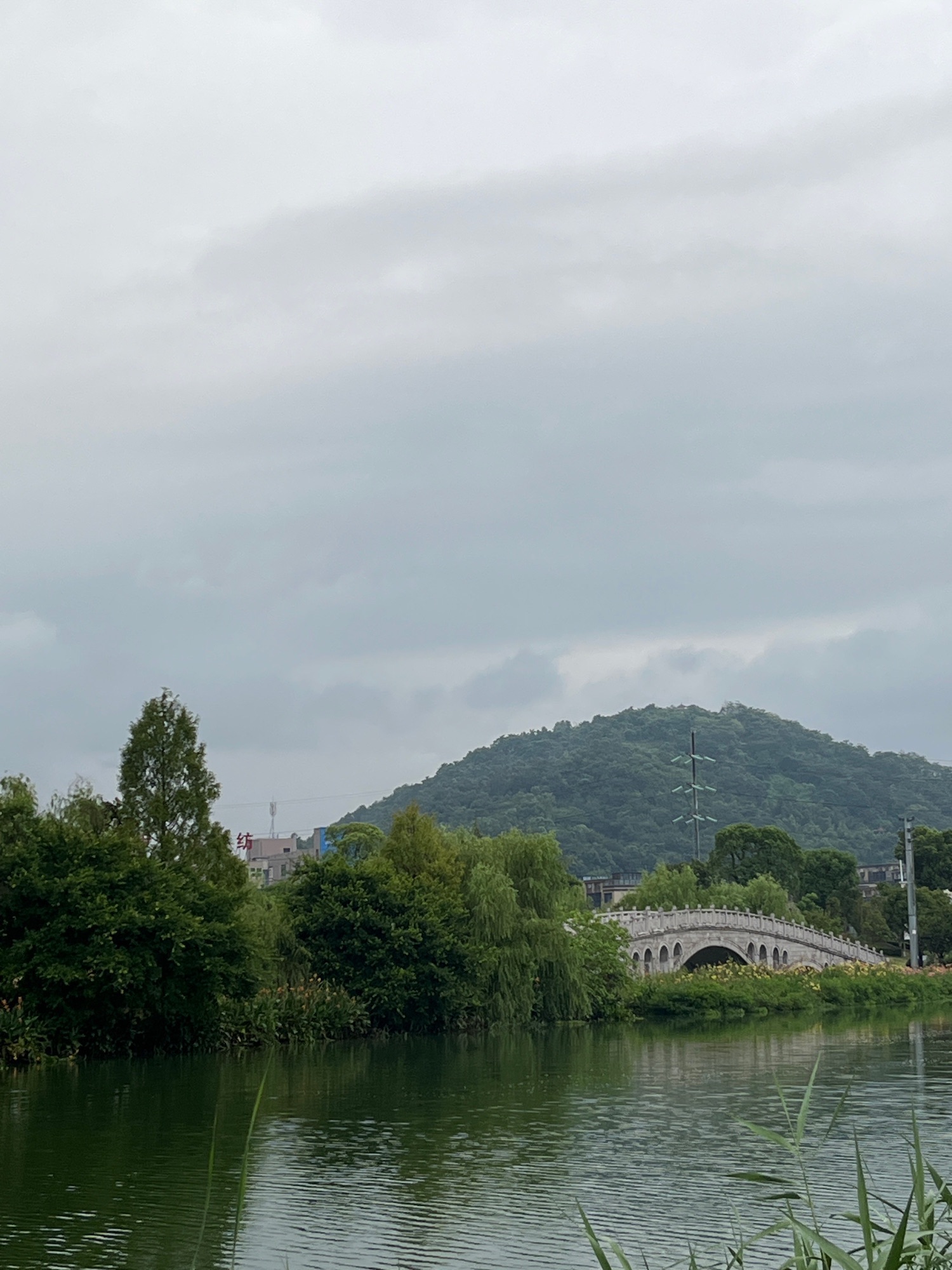 凤湖主题公园旅行图片 2
