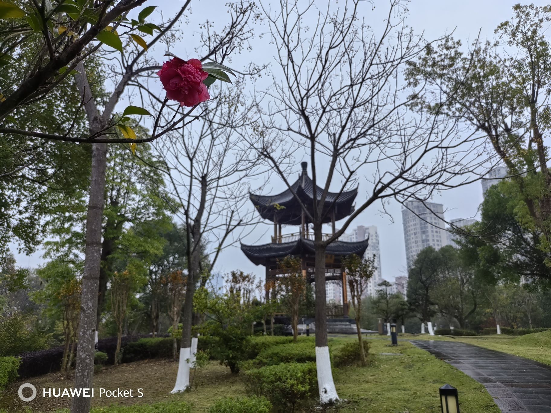 凤湖主题公园旅行图片 3