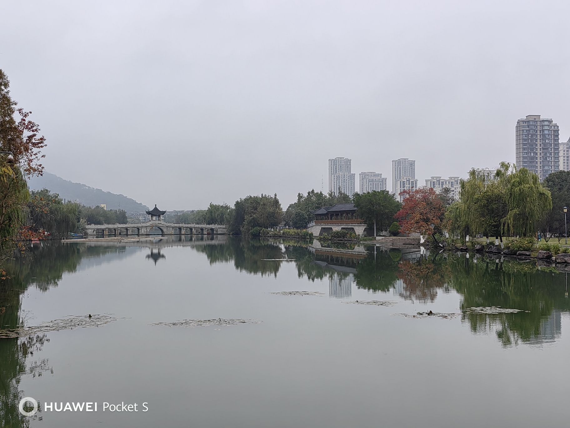 凤湖主题公园旅行图片 1