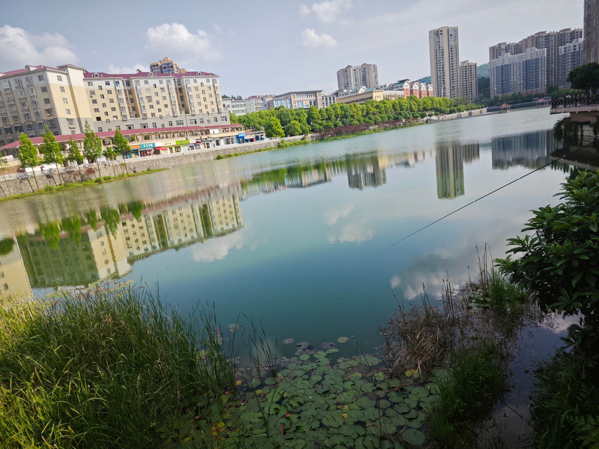 莲湖公园旅行图片 1