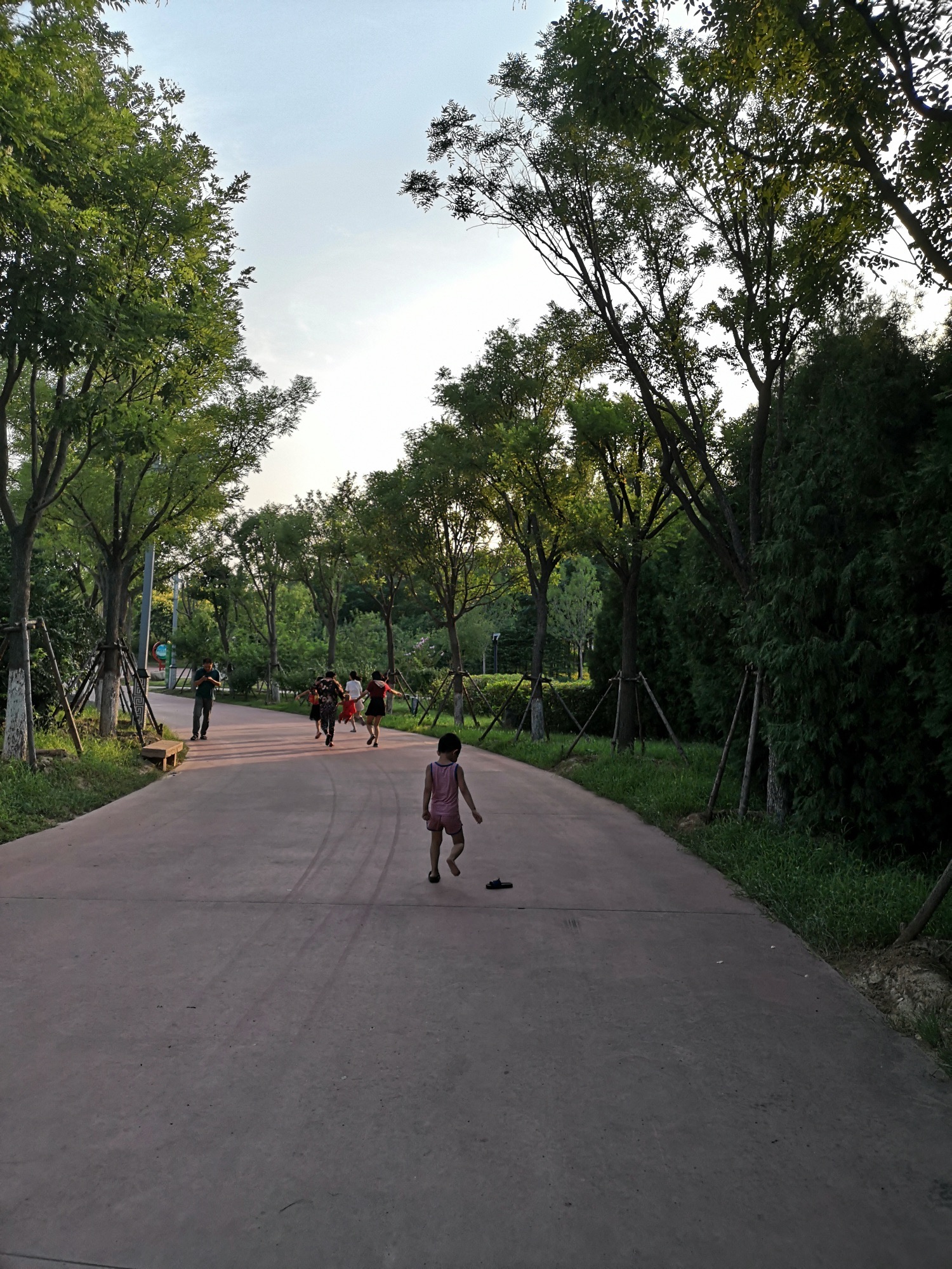 七里河体育公园旅行图片 3
