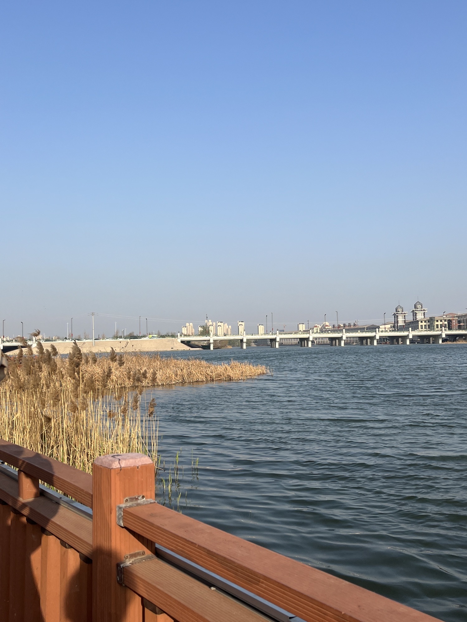 七里河体育公园旅行图片 1