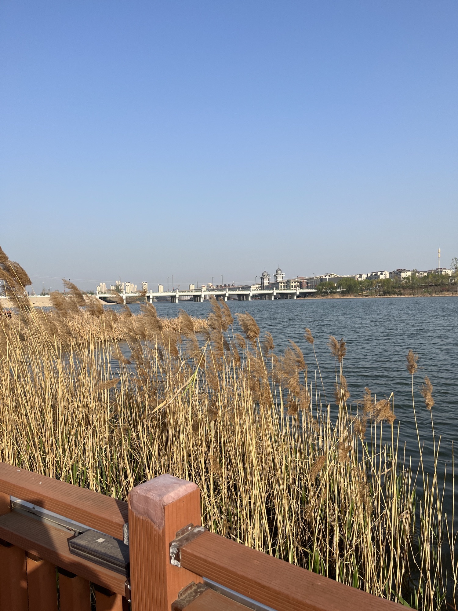 七里河体育公园旅行图片 3