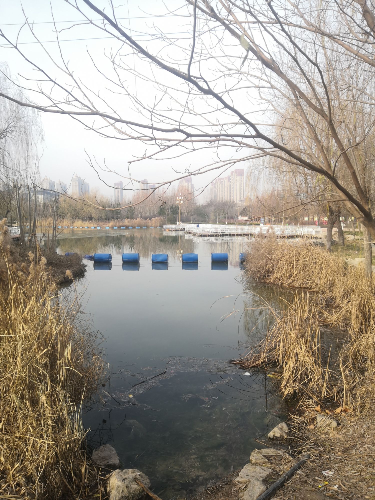 七里河体育公园旅行图片 3