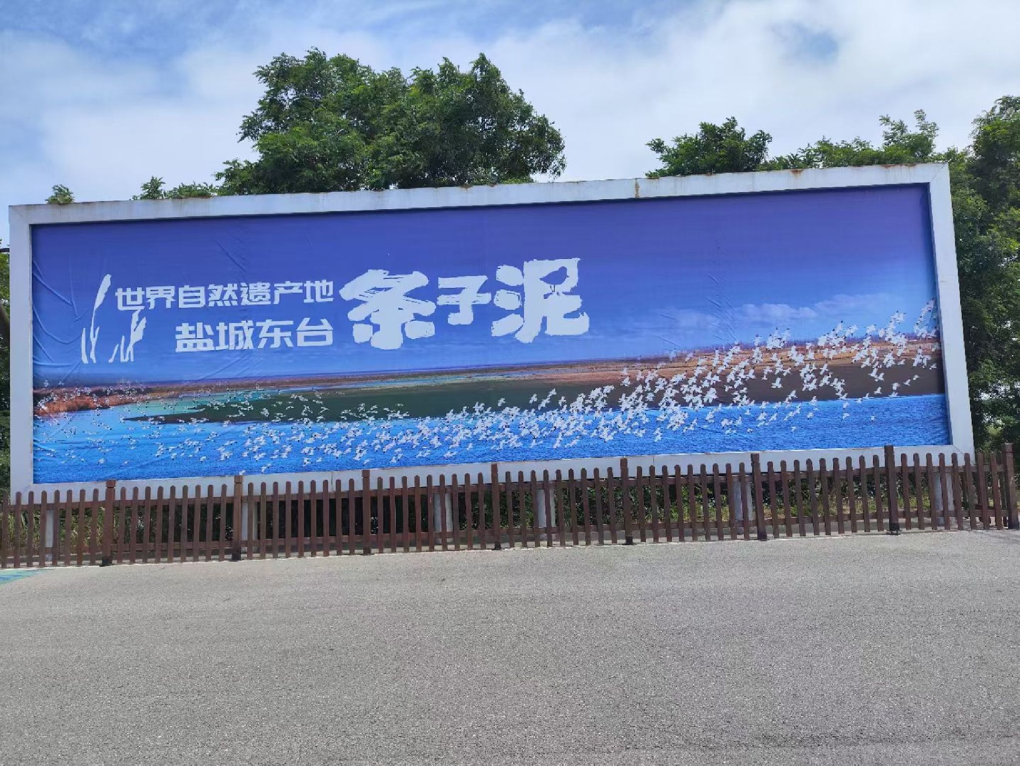 条子泥景区旅行图片 1