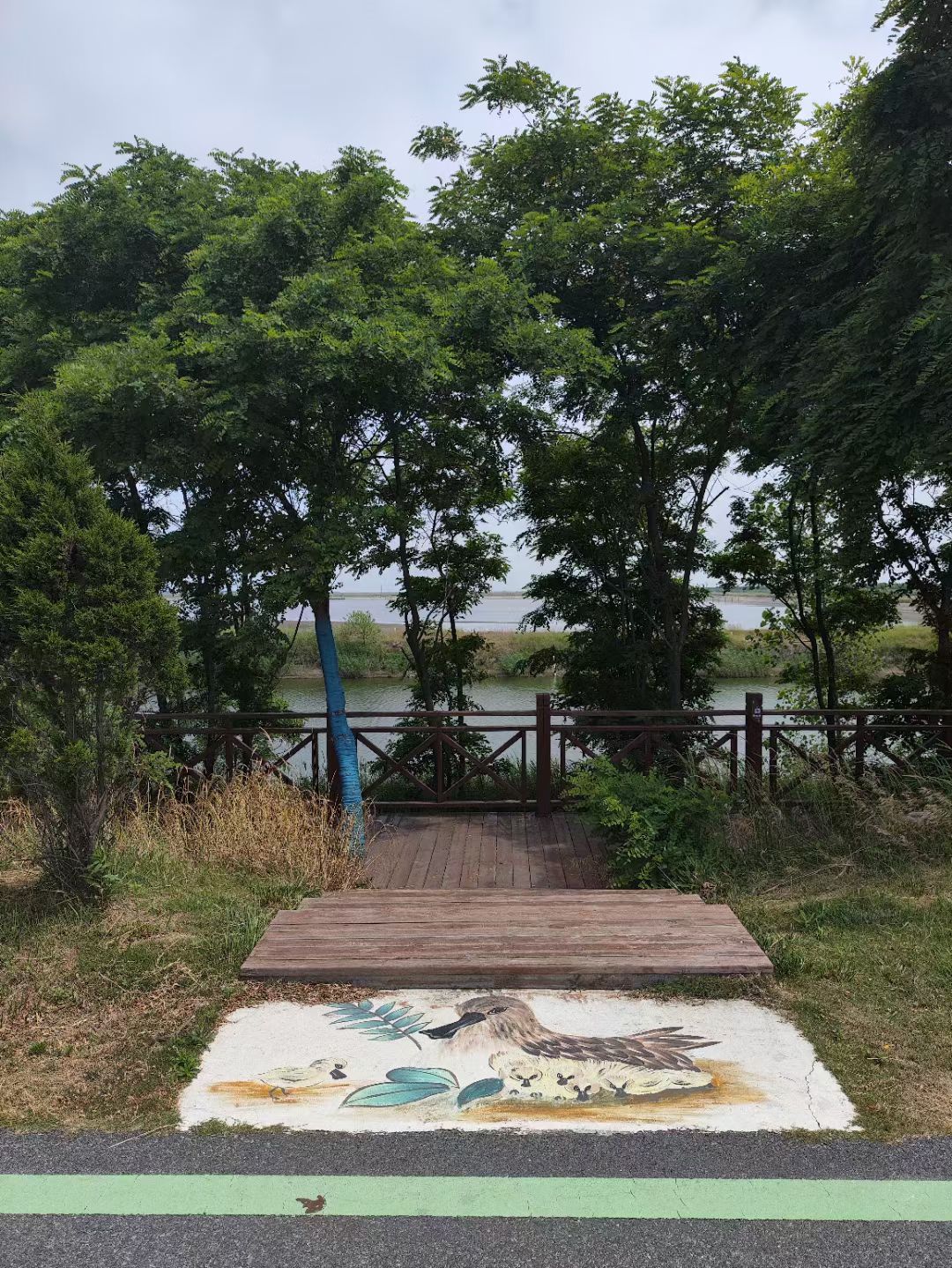 条子泥景区旅行图片 3