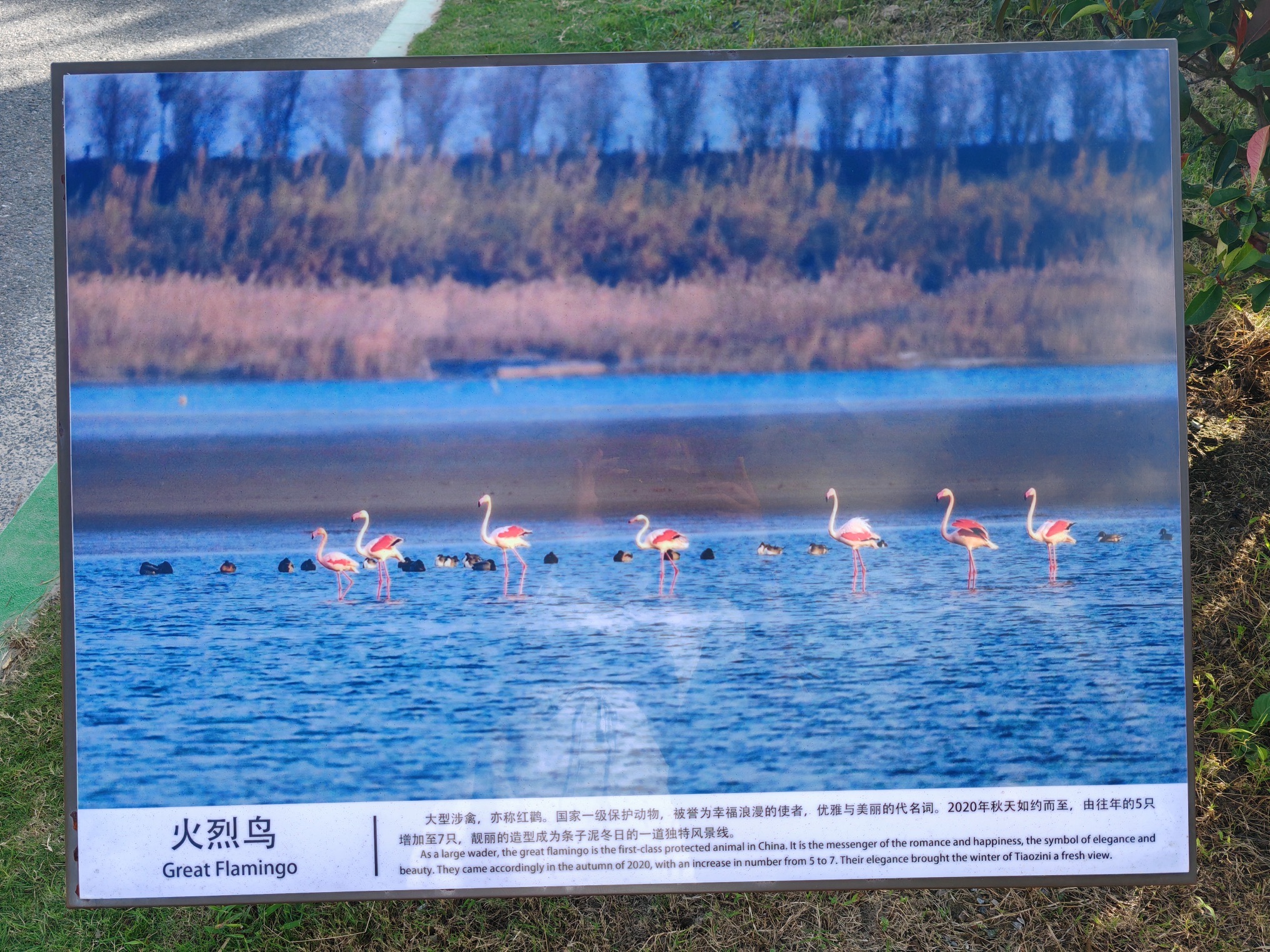 条子泥景区旅行图片 1