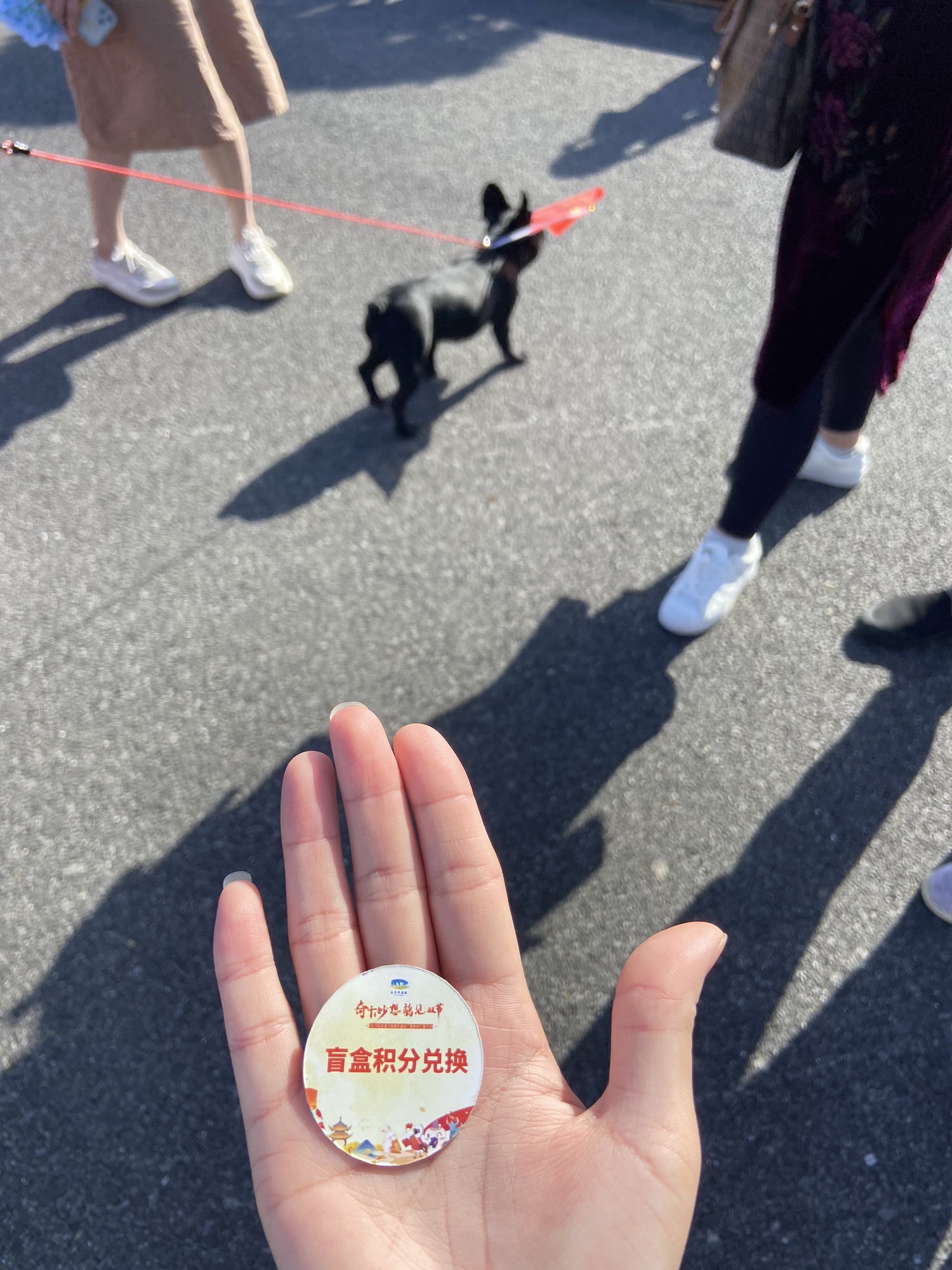 条子泥景区旅行图片 3
