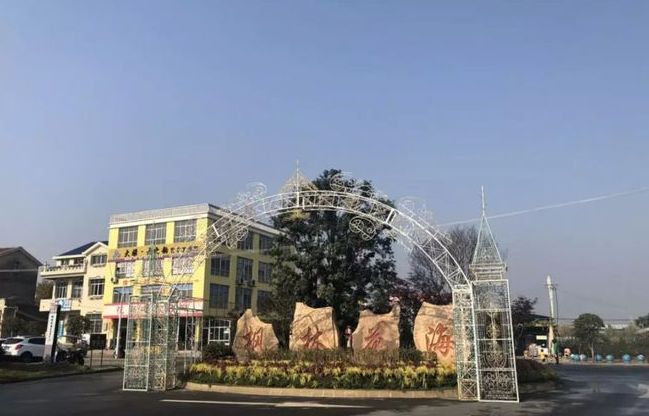 新枫林花海旅行图片 3