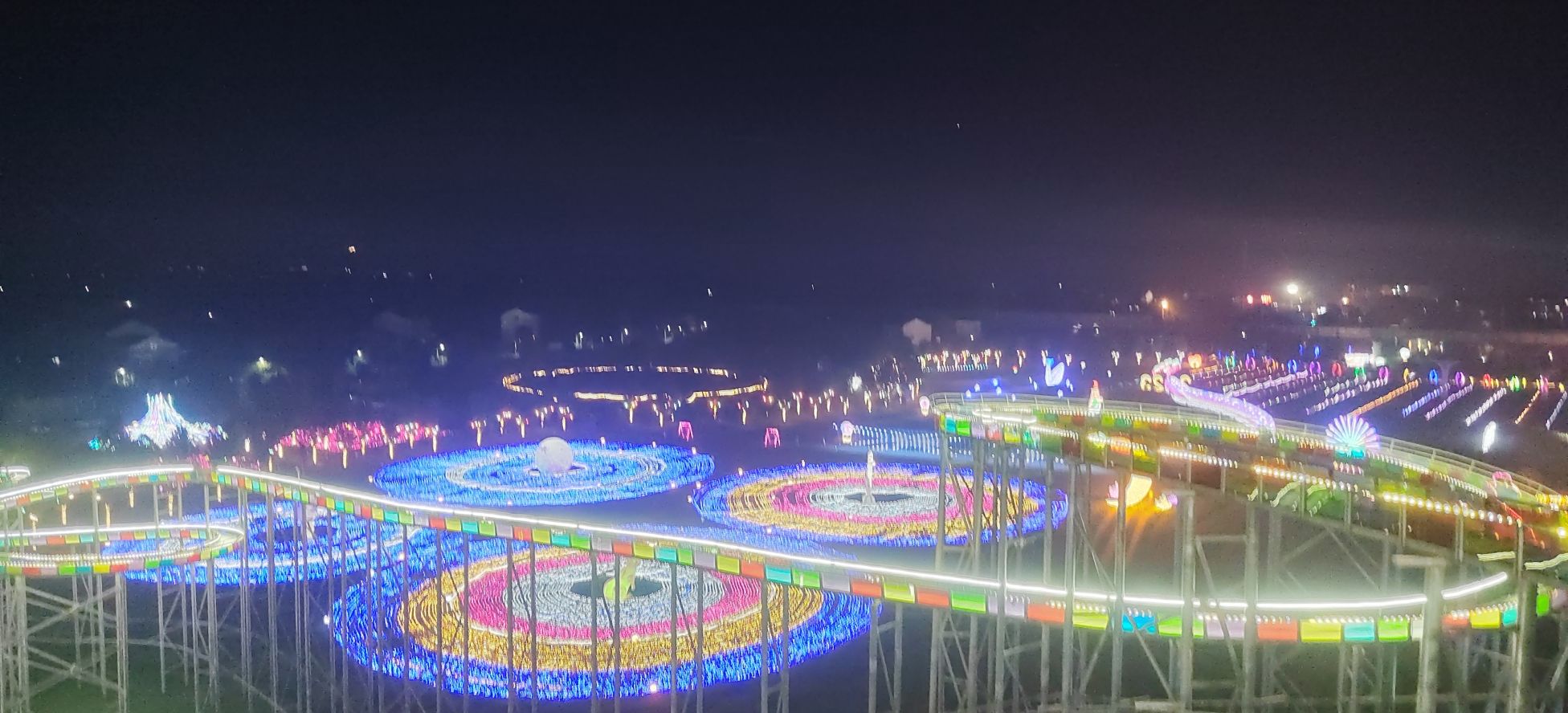 新枫林花海旅行图片 2