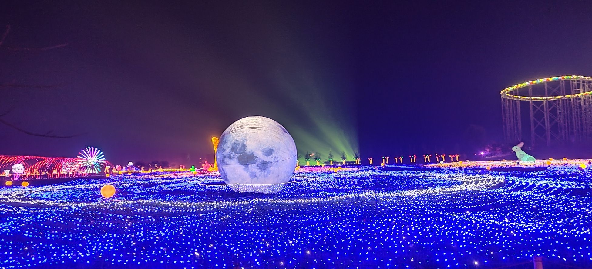 新枫林花海旅行图片 1
