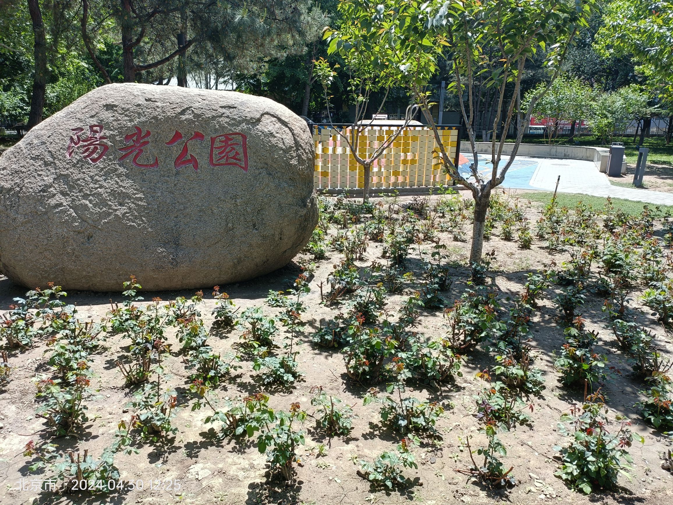 阳光公园旅行图片 1