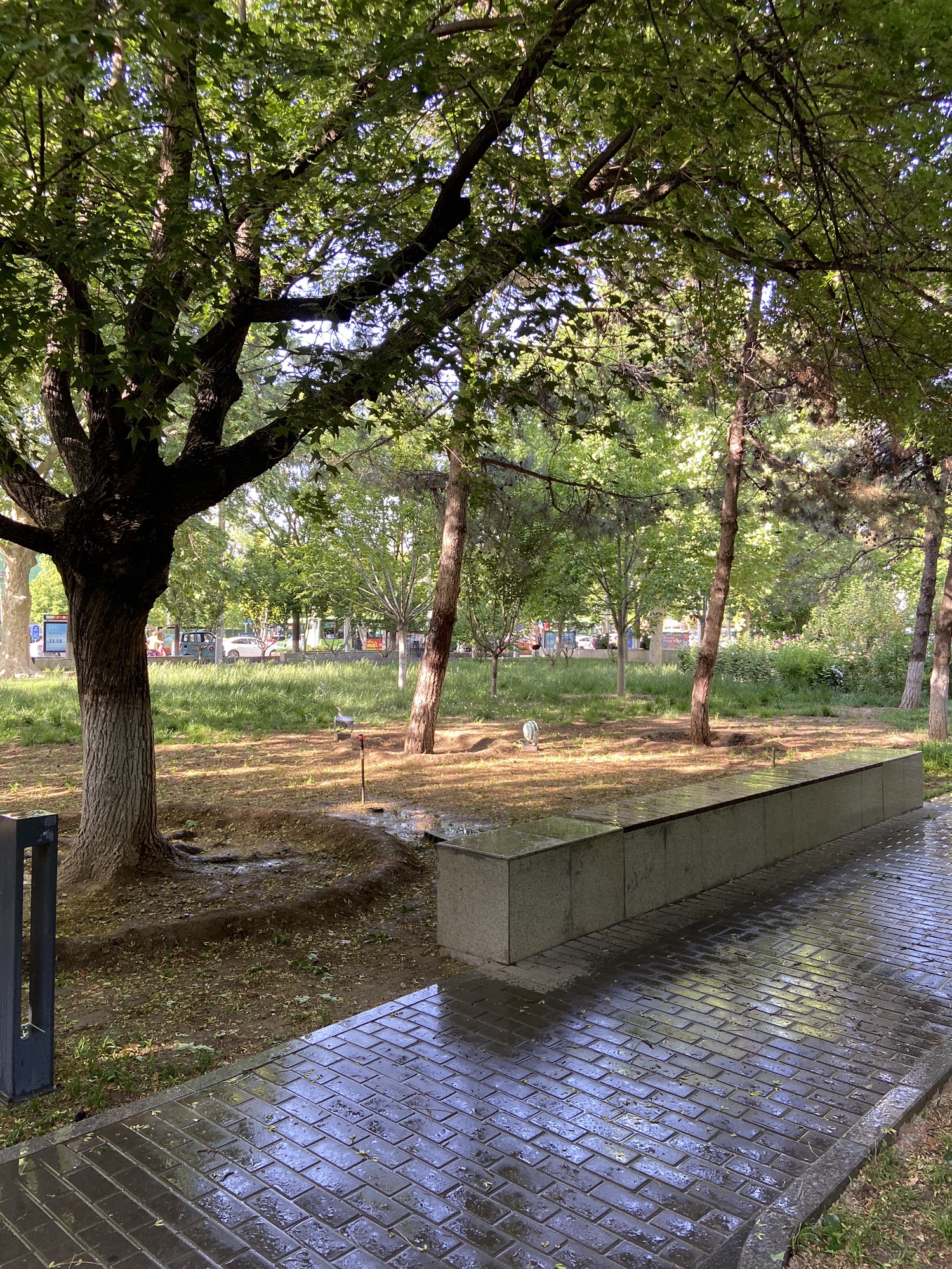 阳光公园旅行图片 3