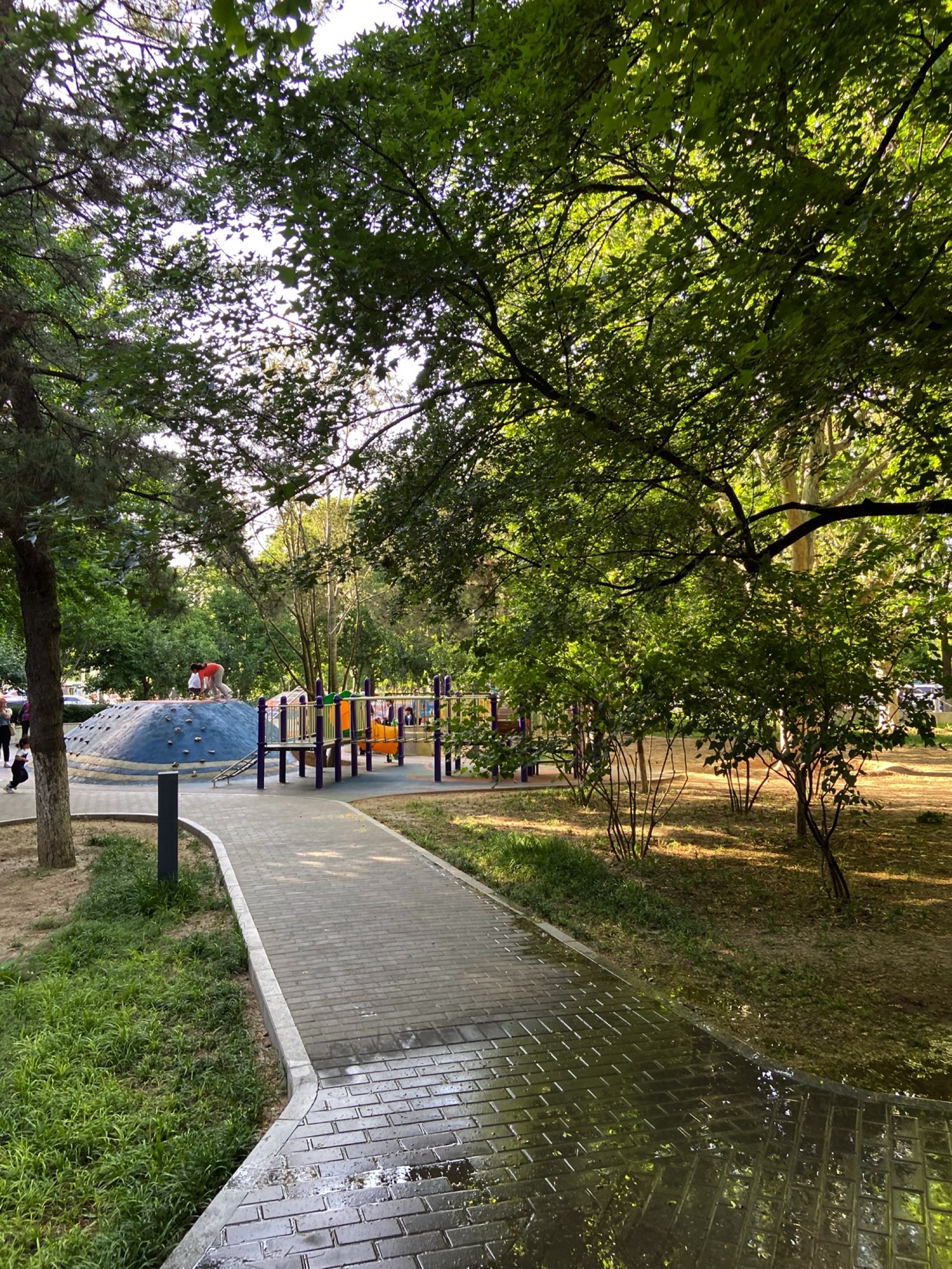 阳光公园旅行图片 1