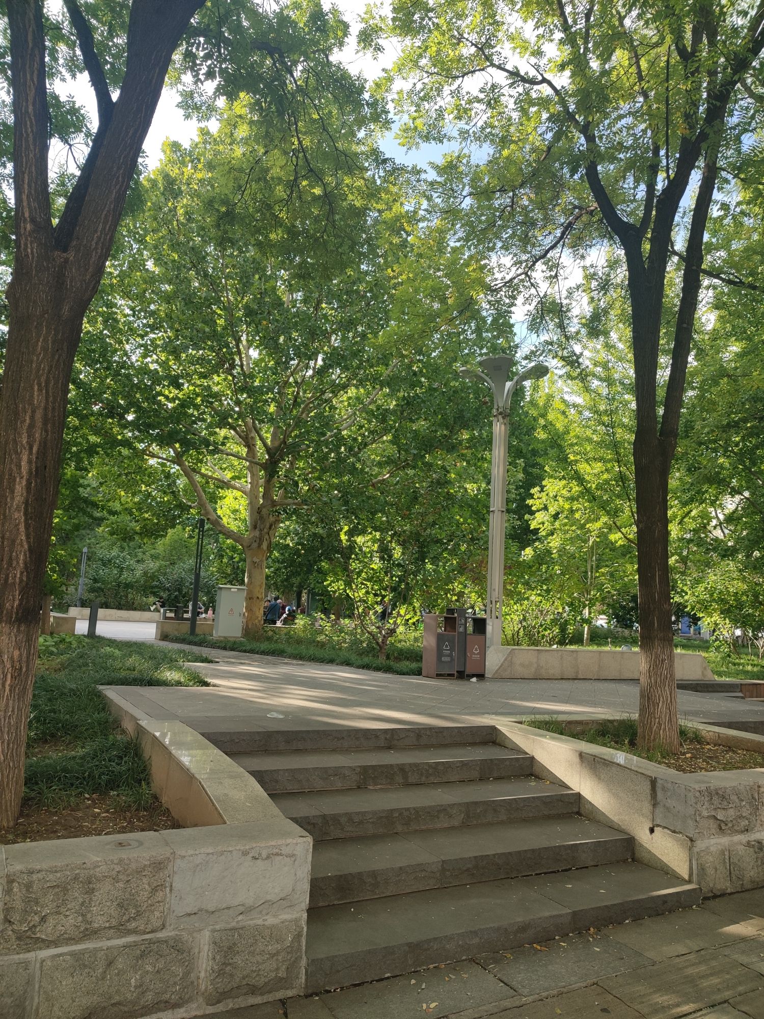 阳光公园旅行图片 2